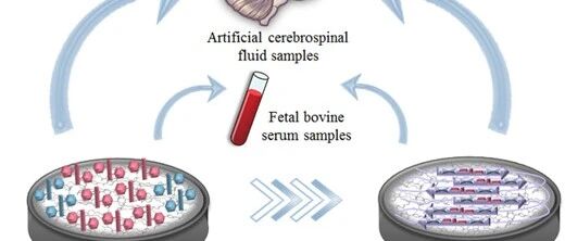 ACS Sens：同手性金属有机框架靶向结合L-二苯丙氨酸位点，实现淀粉样β蛋白的超灵敏电化学检测