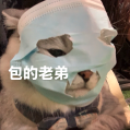 京东 “ 骚操作 ” 遭网友疯狂吐槽!多花 7999 元可插队抢 iPhone Duo?图2