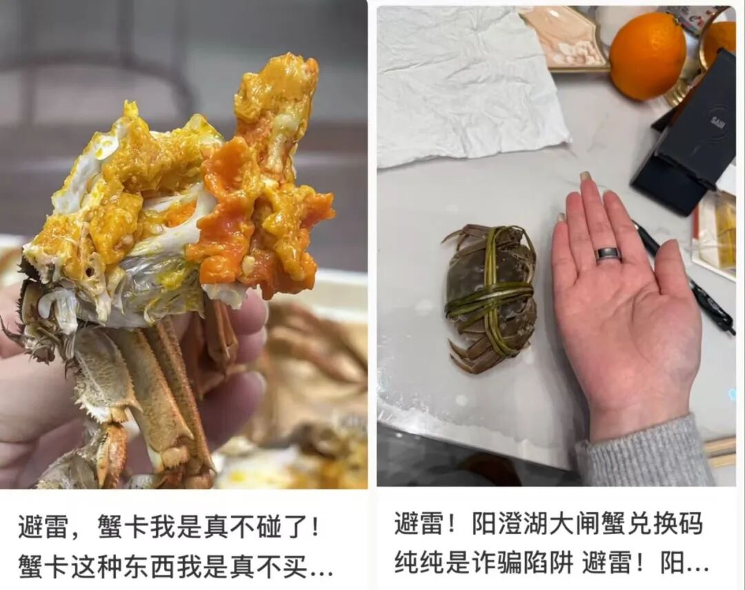 跌至5元一只，大闸蟹价格崩盘了图14