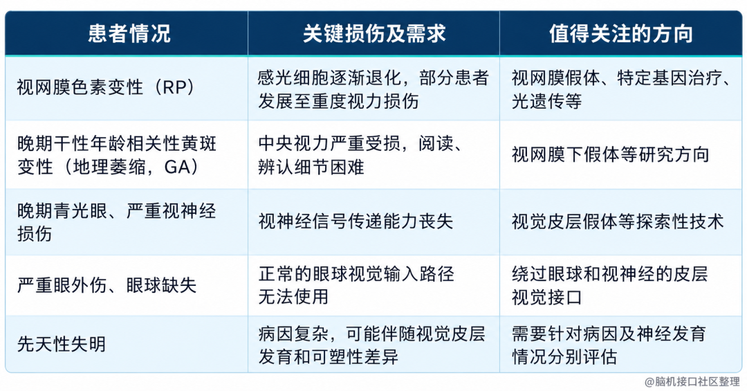 《重见》专栏｜开篇语：失明之后，还能重新看见吗？六个问题，讲清视觉重建的可能与边界图4
