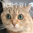 真原地起飞!特斯拉刚发布这新车,火爆全球了...图2