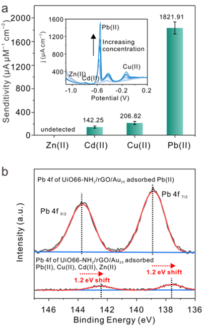 Sens Actuat B Chem:Au₂₅驱动 UiO‑66‑NH₂/rGO 结合位点调控用于增强Pb(II)电化学传感图14