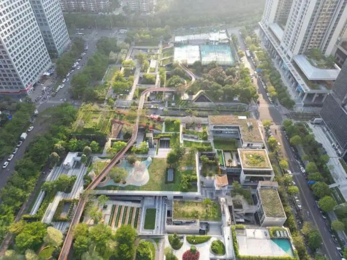 APEC将至,深圳科技已经走进亚太日常图9
