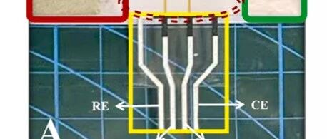 Biosens Bioelectron：基于量子点敏化和卟啉工程化MOFs光寻址夹心光电化学免疫传感器阵列及自校准侧流免疫分析用于β-淀粉样蛋白准确检测