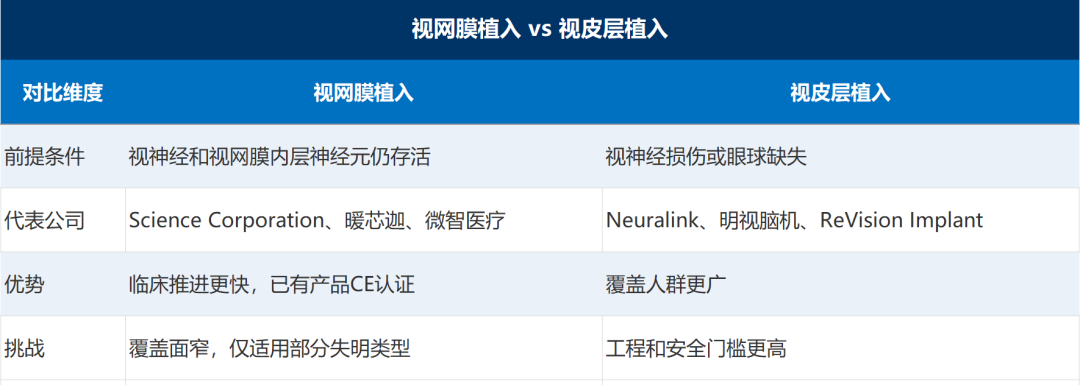 全球视觉脑机接口20+家公司全景:视网膜与视皮层两条路线,谁先让盲人“看见”图2