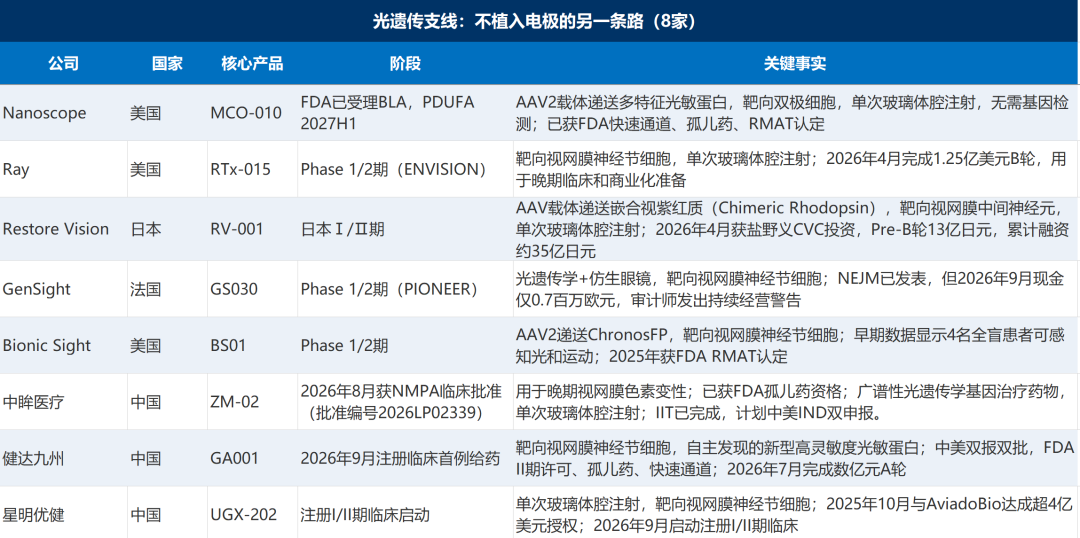 全球视觉脑机接口20+家公司全景:视网膜与视皮层两条路线,谁先让盲人“看见”图5