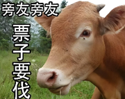 加价6000元还秒抢光,苹果首款折叠屏彻底成了?图2