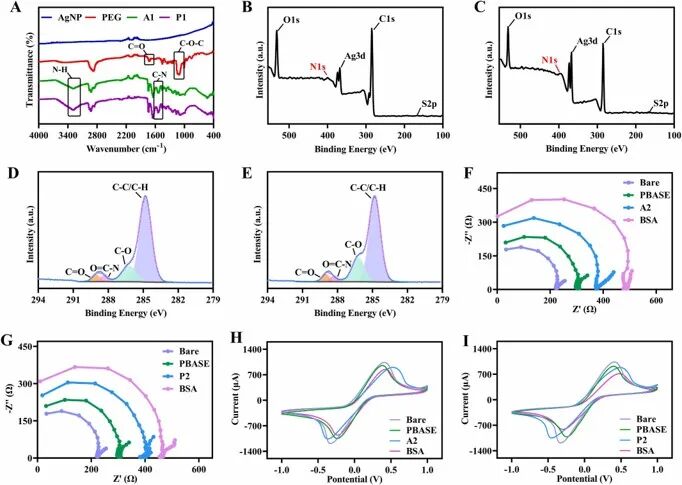 Biosens Bioelectron:基于亲和肽的微流控电化学系统用于淀粉样β肽的超灵敏检测图6