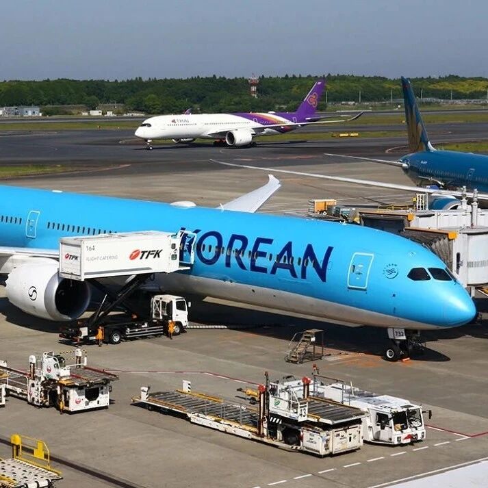 “不卷不行”，韩国政府再度制裁大韩航空