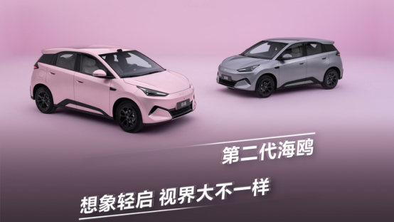 比亚迪卷出新高度,纯电新车只要6.29万图16