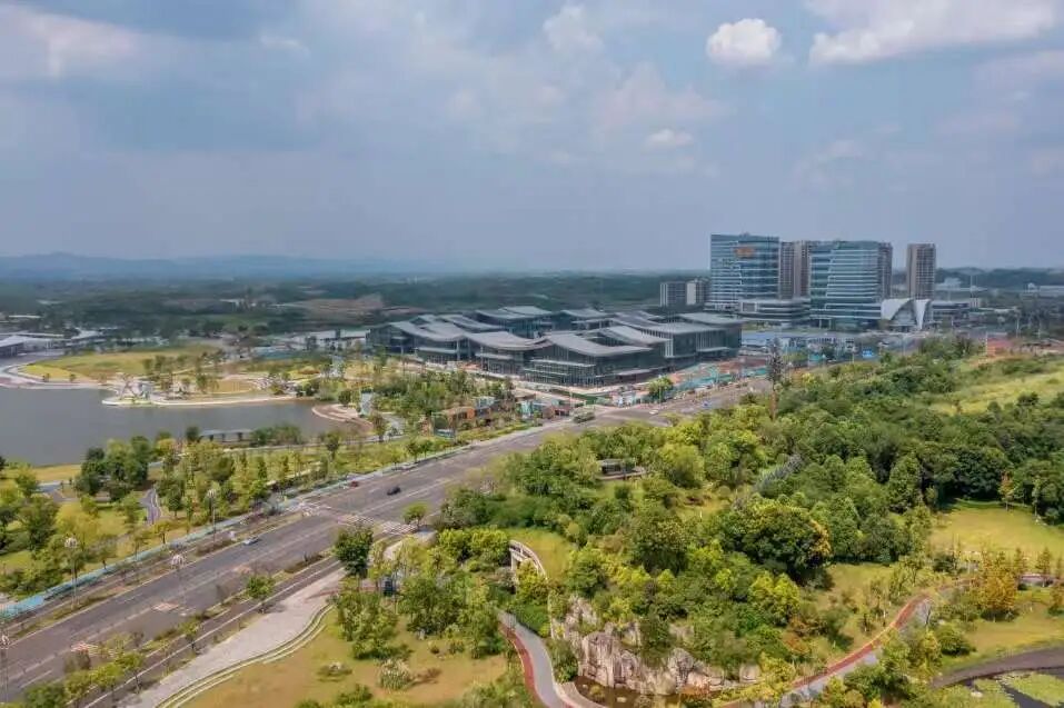 【工业强县 向“新”而行】“氢”风已至，发展可期！成都东部新区这场链长会抢抓氢能产业新风口图4
