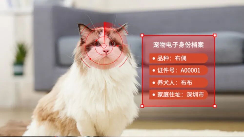 海外宠物AI门禁崛起,端侧AI感知如何开辟智能家居增量赛道?图4