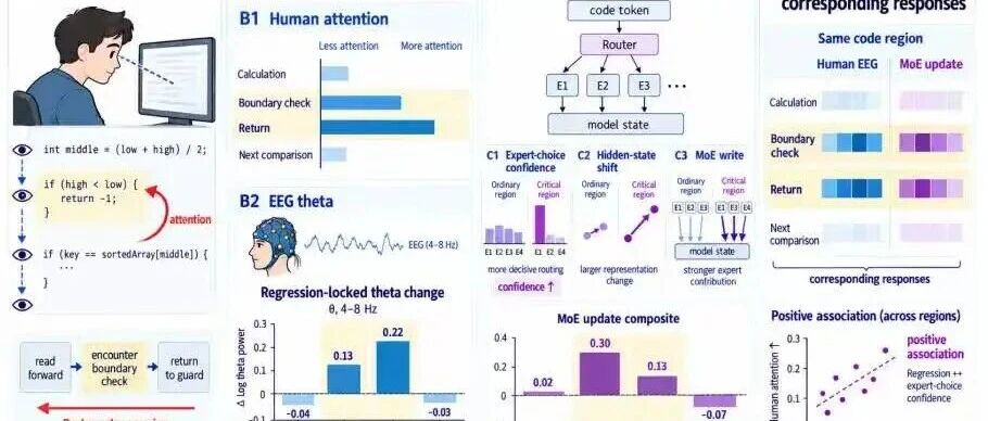 CogAdapt：利用人类认知信号（EEG、眼动）实现代码大模型的任务依赖型系数适配